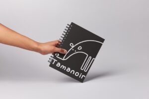 Mockup Éditions Tamanoir